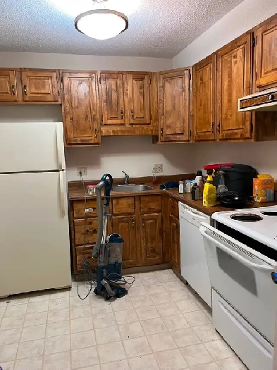 One bedroom apartment Image# 1