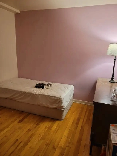 Room 700$ everything included, good location Image# 5