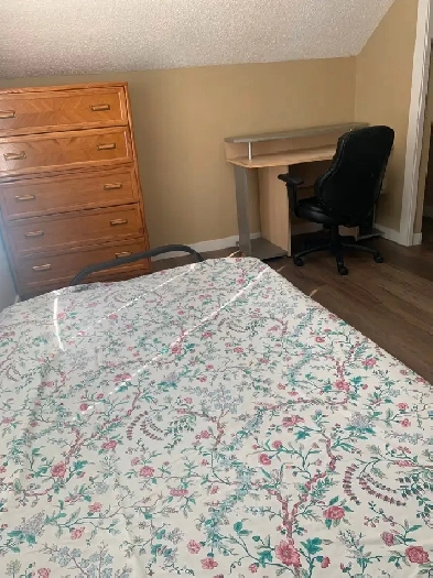 A room for rent Image# 1