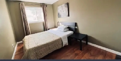 Rooms for Rent Close to Londonderry Mall & Superstore Image# 1