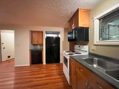 Legal-Basement, walk to Bus Terminal, close to Center Street Image# 2