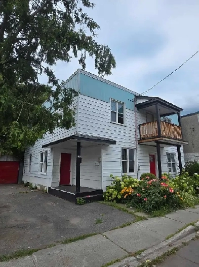 Student Rooms for Rent Image# 3