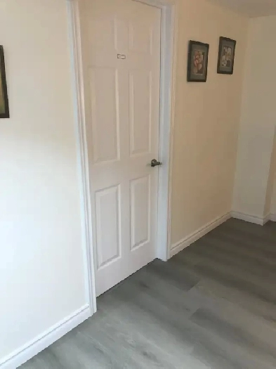 Bright Clean private Room for Rent – North York Seneca Area Image# 4