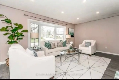 2 1 Sunny flat in Newmarket Image# 4
