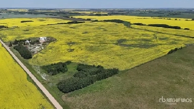 Farmland-Ryley, AB-Unreserved Auction-Oct 21 Image# 1