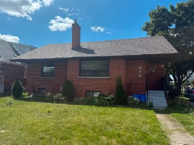 Room for Rent near Mohawk College Image# 1