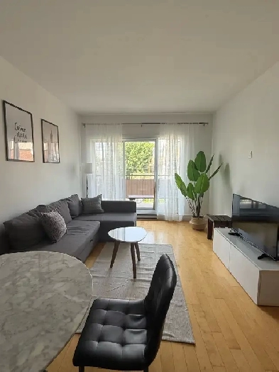 Rosemont 2 bedroom Furnished apartment Image# 1