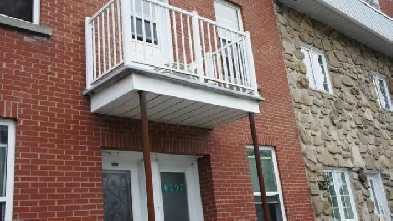 5 1/2 for rent. Petite Italie. ANIMALS FRIENDLY. 1 month free. Image# 2