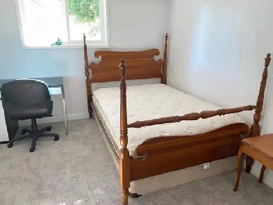 2 bdr suite for rent close to UVIC Image# 3