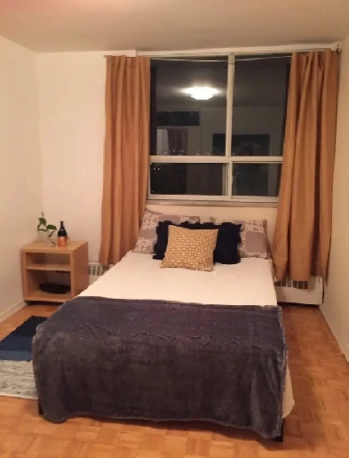 Spacious Room for Rent Image# 1