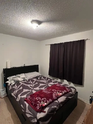 rooms for rent Image# 1