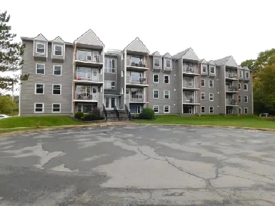 Renovated Bedford Condo/2beds/1bath - VIDEO TOUR! Image# 5