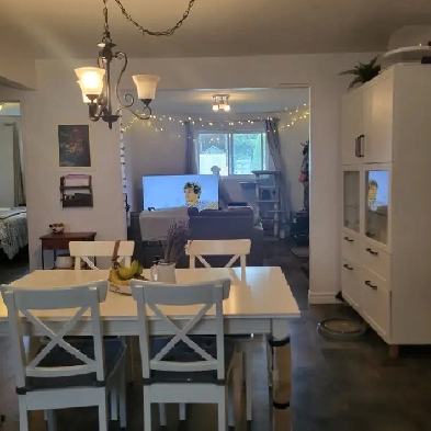 41/2, 985 $, demi sous-sol, tranquille, près du Cégep Image# 1