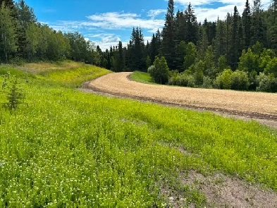 Serviced 10 acre treed lot for sale minutes from gull lake. Image# 1