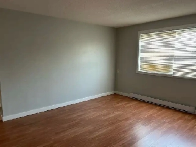 TWO BEDROOM 1 BATH Image# 5