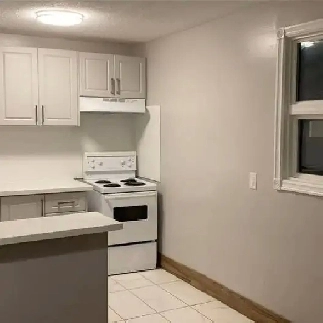 Spacious, Pet-Friendly 3-Bed by Fleming College (Mary St W) Image# 1