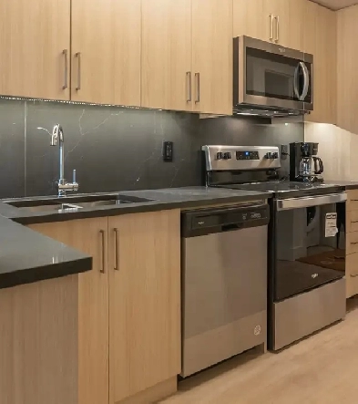 1 Plus Den Available For Rent In Waterloo Image# 1