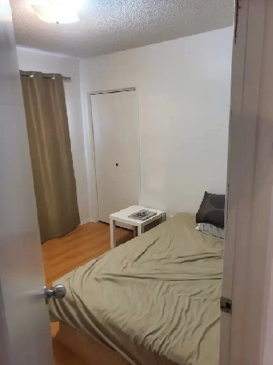 ROOM FOR RENT/3 BEDROOM HOUSE/NORTH PARK Image# 1