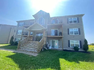 Two Bedrooms available for rent Image# 6