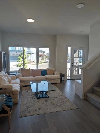 Brand new room for rent in Edmonton Image# 5