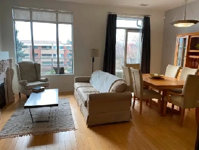 Bright 2 Bedroom, 2 Bath Condo in Downtown Kelowna Image# 2