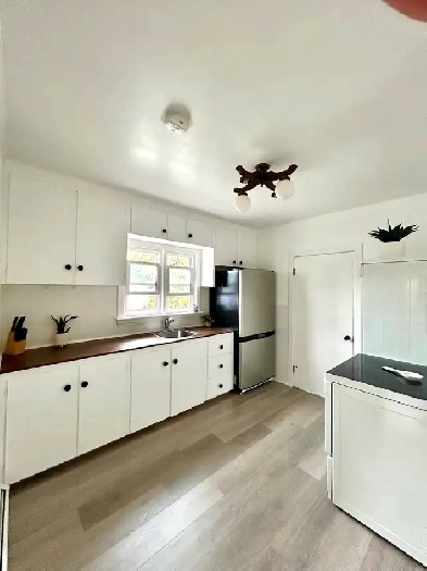 Newly renovated one bedroom apartment for rent Image# 4