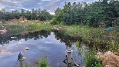 Affordable room for rent on an acreage near Sherwood Park Image# 1