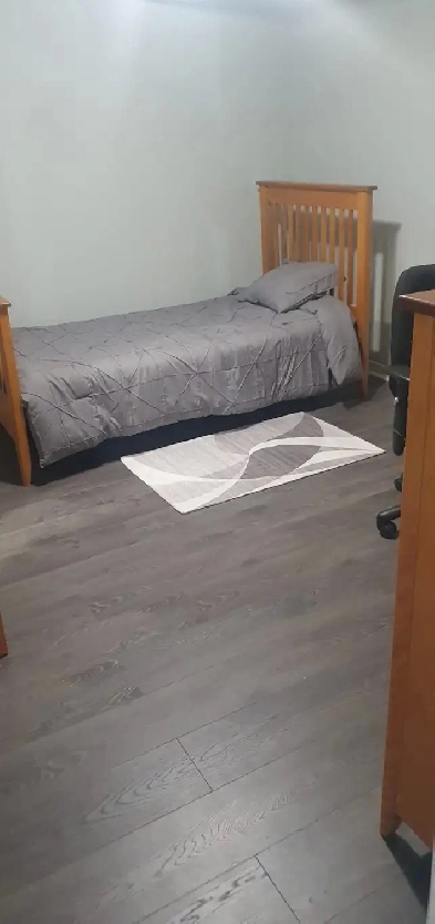 1 bedroom basement apartment Keele and Finch by York University Image# 1