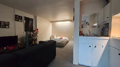 appartement 1 1/2 confortable à louer Image# 4