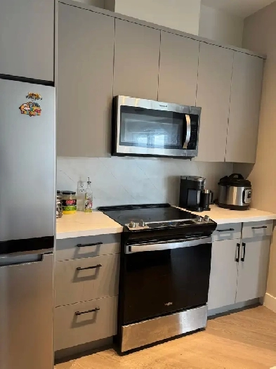 2 Bed 2 bath Apartment Image# 5