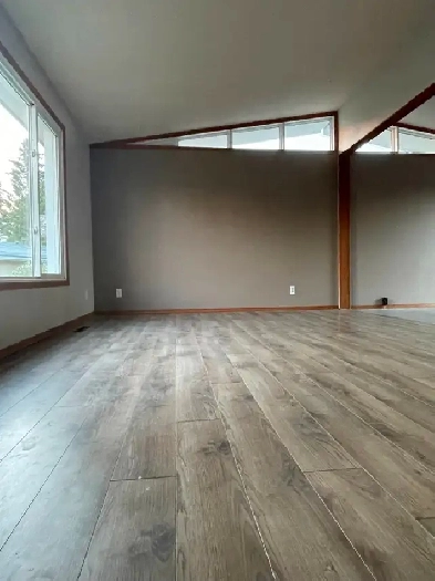 5 Bedroom House For Rent Image# 12