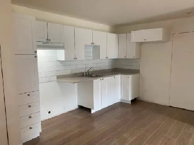 Logement 51/2 à louer et entièrement rénové Image# 2