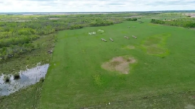 HAY AND PASTURE LAND FOR SALE CLOSE TO ERIKSDALE Image# 5