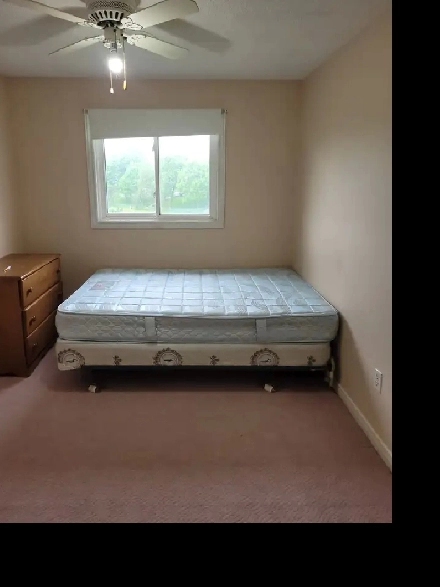 Room For Rent In Woodstock Image# 3