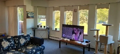 A quiet, clean, safe place in a great location! Image# 5