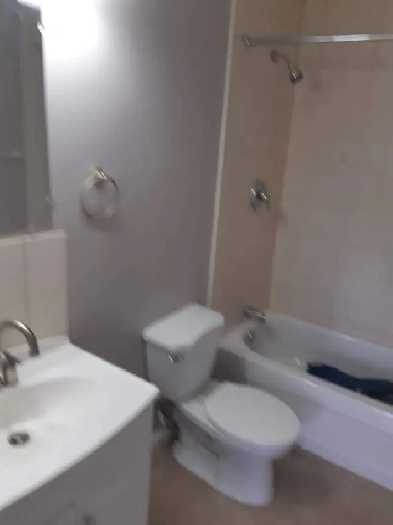 Berwyn Downtown Two Bedroom Apart for Rent Image# 9