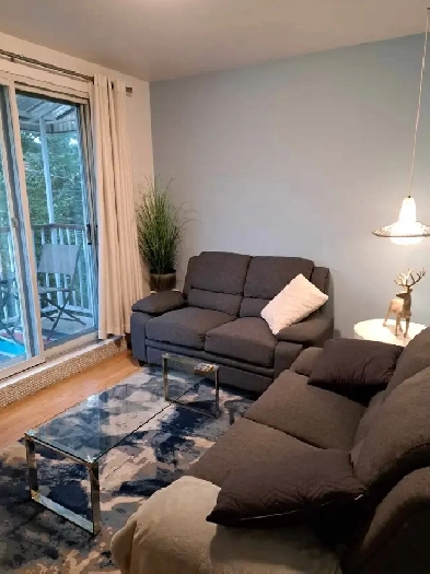 3 1/2 tout inclus, décoré goût du jour Image# 10