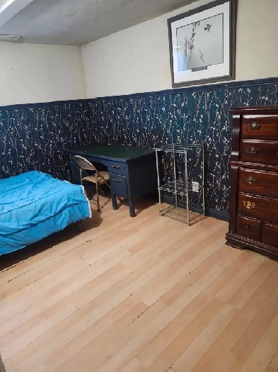 Large Room in beautiful neighborhood $800 includes all amenities Image# 1