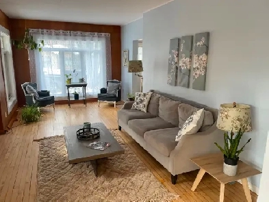 Wanted Roomate female University Student Image# 1