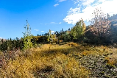481 Clough Rd.  MLS 175087KA Rural Acreage near Mclure Image# 6