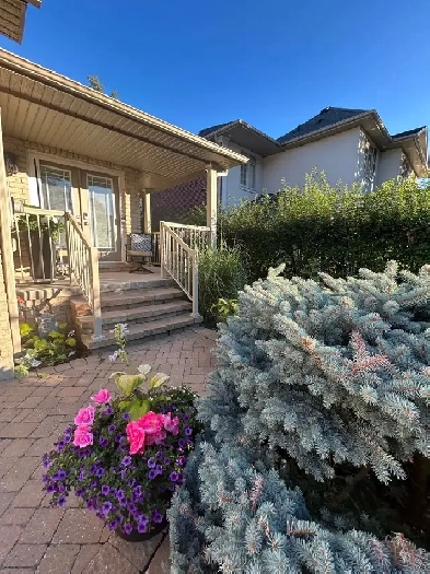 BRONTË SEMI-Bungaloft with apartment Image# 4