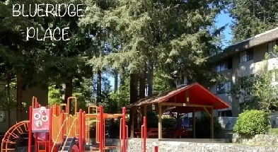 Stunning 2 Bedroom/1 Bath in beautiful Seymour Heights Image# 1