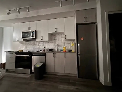 The Shelley Apartments Image# 4