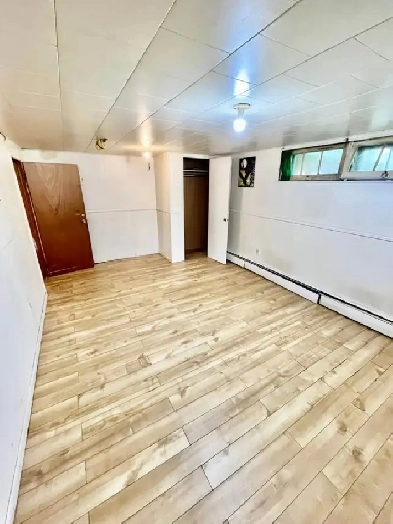 1 Room available Immediately - 1003 Smythe St - Uptown Image# 1