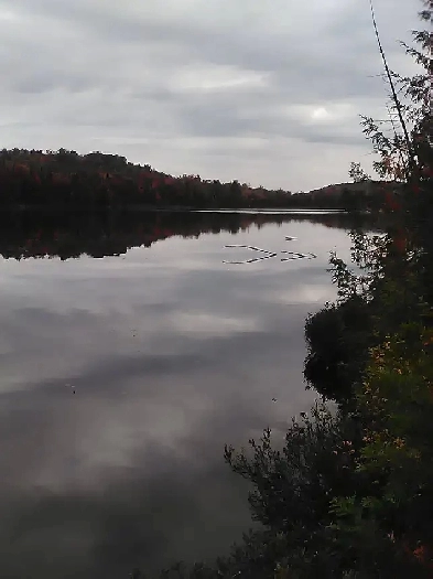 terre a bois avec lac Image# 1