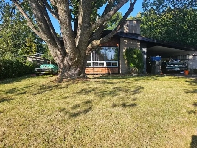 Jane street room available- only 1 left! $850 all incl Image# 4