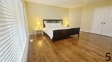 Spacious and bright Room for rent Image# 2