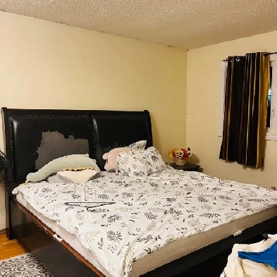 furnished private master bedroom (650) Image# 3