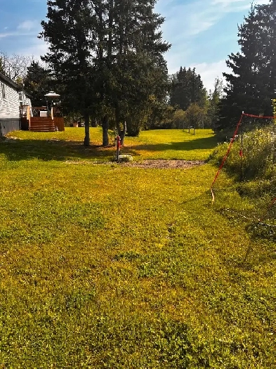 Acreage for Rent Image# 6
