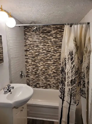 1BR Walkout Basement Apartment-East Hill $700/mth Image# 1